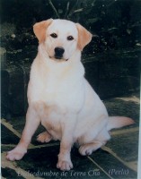 /album/fotogaleria/a100-1744-471x600-jpg/